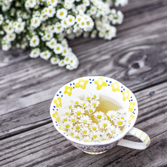 Chamomile for Dry Eyes